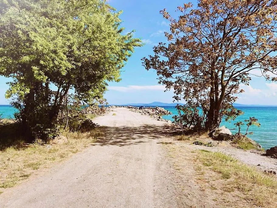 Lovely Studio Apartment On The Beach Бургас 0*,  Болгария